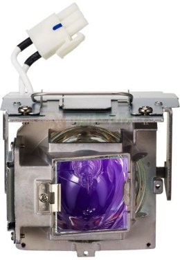 ViewSonic RLC-110 Replacement Lamp