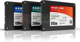 Ernitec CORE-1TB-SSD-HDD 1TB 24/7 HDD SSD Database