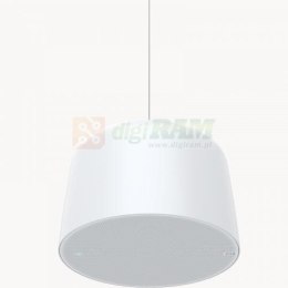 Axis 02389-001 C1510 NETWORK PENDANT SPEAKER