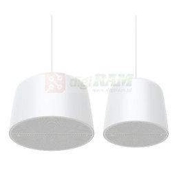 Axis 02390-001 C1511 NETWORK PENDANT SPEAKER