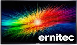 Ernitec 0070-24250-WATERPROOF 50'' Surveillance monitor for