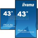 Iiyama LH4360UHS-B1AG signage display Cyfrowa tablica A 108 cm (42.5") LED Wi-Fi 500 cd/m2 4K Ultra HD Czarny Procesor wbudowany