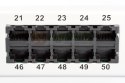 Digitus Panel krosowy (patch panel) ISDN 19" 50x RJ45 (8P4C), LSA poziom, kat.3, nieekranowany, 1U, szary