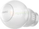 Fibaro FGT-001 ZW5 EU