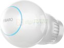 Fibaro FGT-001 ZW5 EU