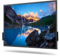 Monitor 54.6 cala P5524QT Touch IPS LED UHD 4K(3840x2160)/16:9/DP/HDMI/USB-C/RS232/USB/RJ45/Głośniki/3Y