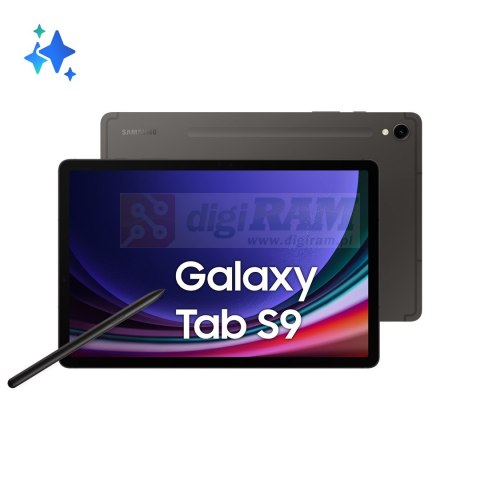 Samsung Galaxy Tab S9 11.0 (X716) 5G 8/128GB Grey