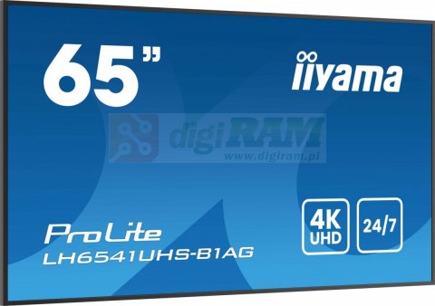 Monitor 65 cali LH6541UHS-B1AG VA,4K,24/7,LAN,USB,HDMI,500cd/m2, Haze(25%),2x10W,Pion/Poziom