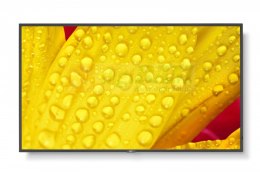 Monitor wielkoformatowy MultiSync M501-2 50 cali UHD 500cd/m2 24/7