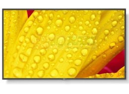 Monitor wielkoformatowy MultiSync M551-2 55 cali UHD 500cd/m2 24/7