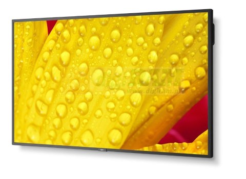 Monitor wielkoformatowy MultiSync M551-2 55 cali UHD 500cd/m2 24/7