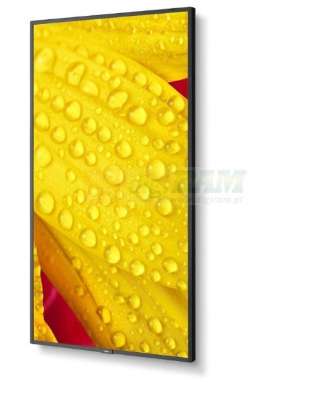 Monitor wielkoformatowy MultiSync M551-2 55 cali UHD 500cd/m2 24/7