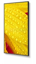 Monitor wielkoformatowy MultiSync M651-2 65 cali UHD 500cd/m2 24/7