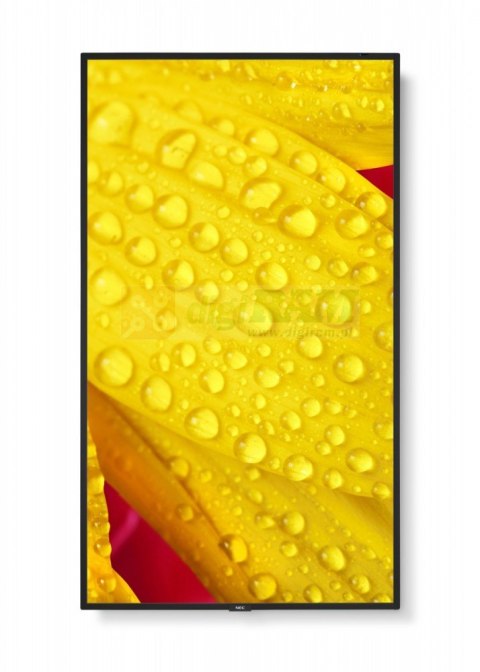 Monitor wielkoformatowy MultiSync M651-2 65 cali UHD 500cd/m2 24/7