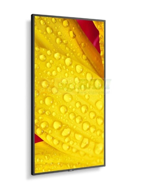 Monitor wielkoformatowy MultiSync M551-2 55 cali UHD 500cd/m2 24/7