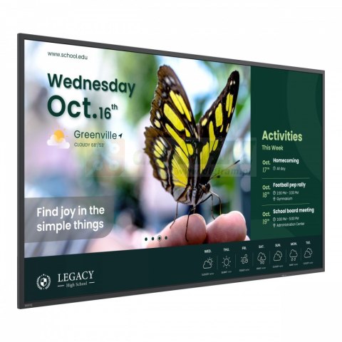 Monitor wielkoformatowy 43 cale ST4304 4K/1200:1/ANDROID