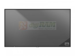 Monitor wielkoformatowy MultiSync P495 PG-2 49'' UHD 700cd/m2 24/7