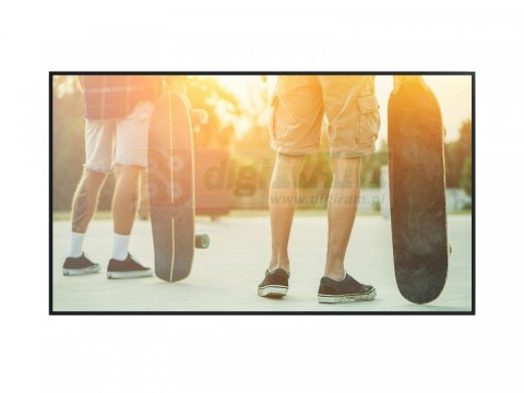 Monitor wielkoformatowy MultiSync P495 PG-2 49'' UHD 700cd/m2 24/7