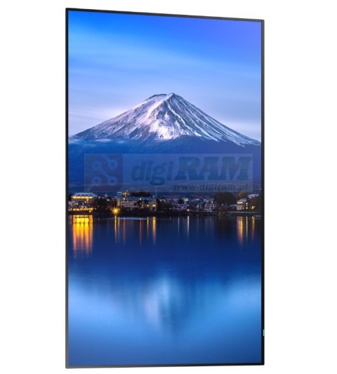 Monitor wielkoformatowy MultiSync P656 65 cali UHD 700cd/m2 24/7