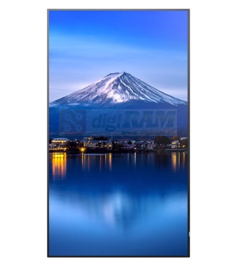 Monitor wielkoformatowy MultiSync P656 65 cali UHD 700cd/m2 24/7