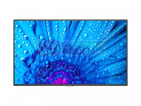 Monitor wielkoformatowy 55 cali MultiSync M551 UHD 500cd/m2 24/7