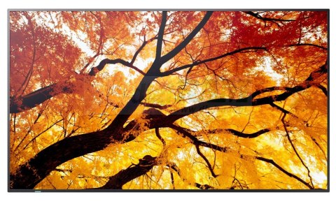 Monitor wielkoformatowy MultiSync M502 50 cali 550cd/m2 24/7