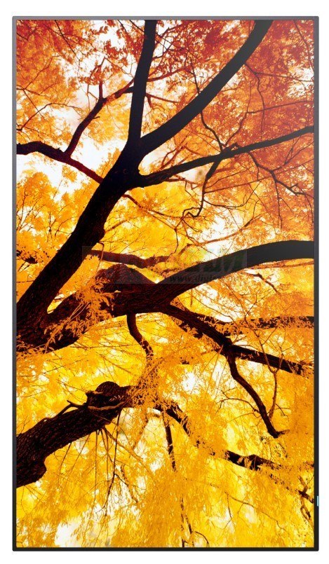 Monitor wielkoformatowy MultiSync M502 50 cali 550cd/m2 24/7