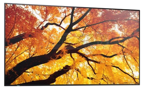 Monitor wielkoformatowy MultiSync M502 50 cali 550cd/m2 24/7