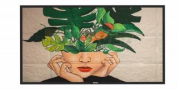 Monitor 50BDL4511D 50 cali