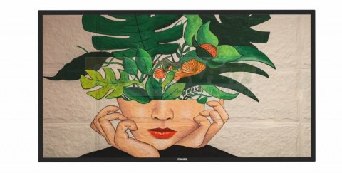 Monitor 50BDL4511D 50 cali