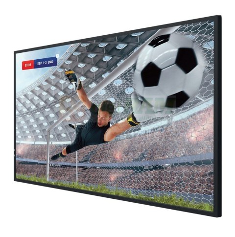 Monitor LFD 43DM66D 43 cale 4K UHD IPS Digital Signage Display 24/7