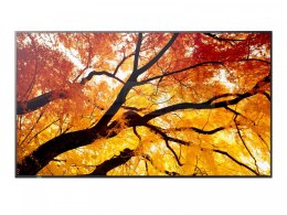 Monitor M652 65 cali 24/7 550cd/m2