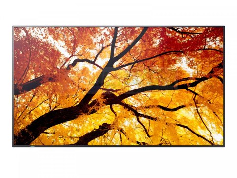 Monitor M652 65 cali 24/7 550cd/m2