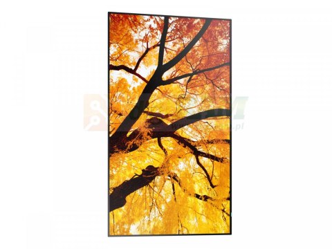 Monitor M652 65 cali 24/7 550cd/m2