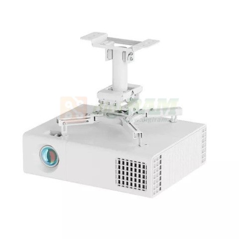 Uchwyt sufitowy do projektora CL25-530WH1 h:25,5 cm biały