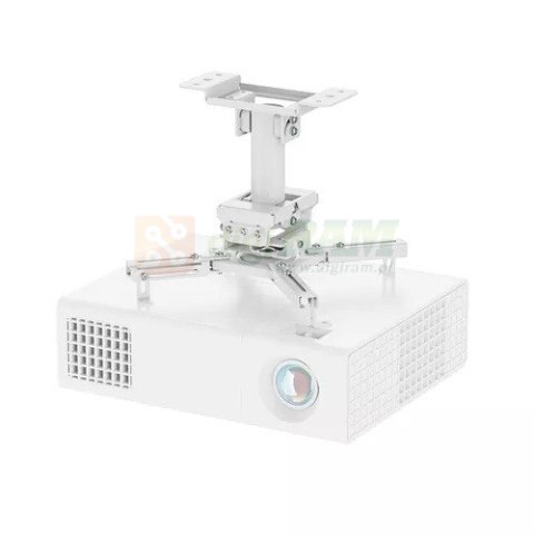 Uchwyt sufitowy do projektora CL25-530WH1 h:25,5 cm biały