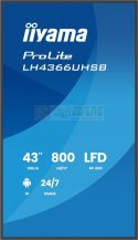 Monitor profesjonalny 43 cale LH4366UHSB-B1AG 4K, VA, A14, 800cd, 4000:1, 6,5ms,2xHDMI, USB-C, RJ45, 2xUSB, 2x10W, WiFi, iiSign
