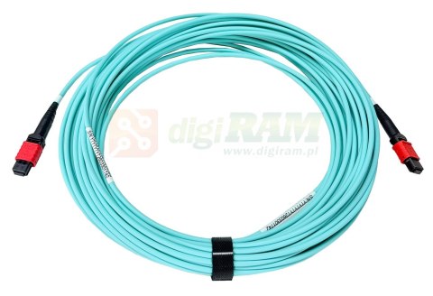 Planet CB-MPO12OS2-10M MPO12 APC OS-35, Single mode